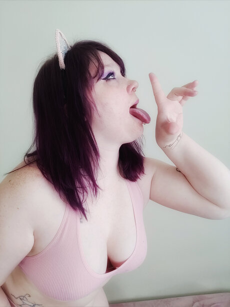 🖤 Kitten 🖤