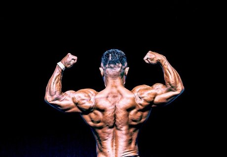 muscle