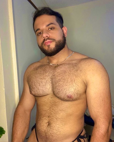 Peludo Norteño