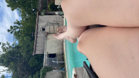 Lilyaventure