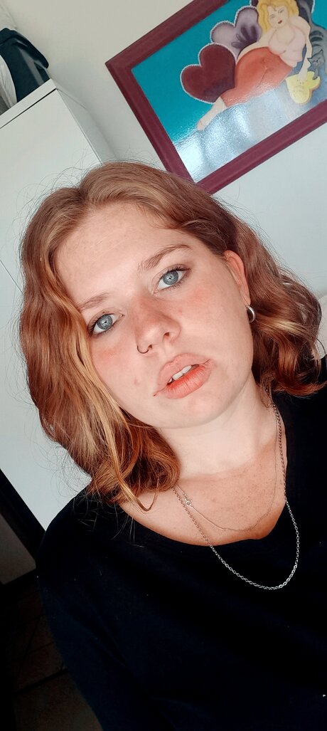 Wildfire 🦊