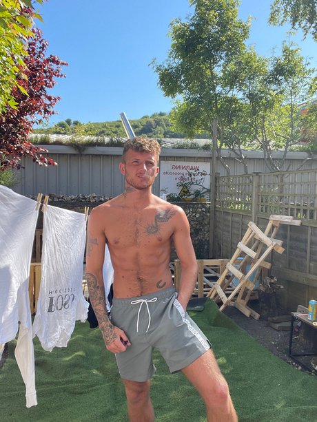 Dan harley