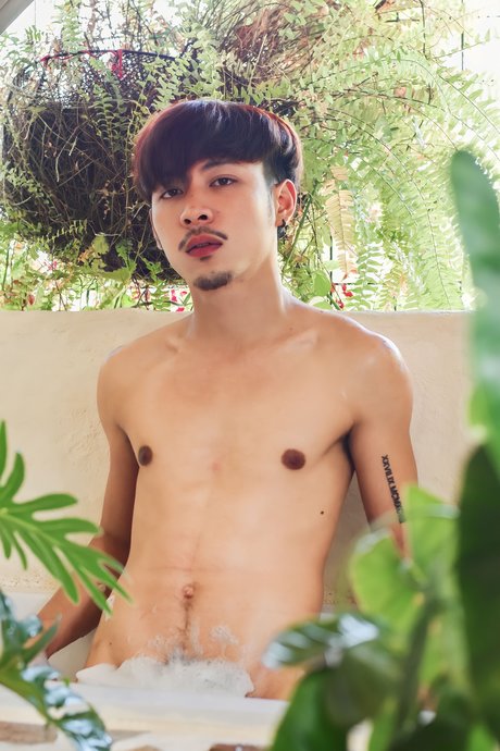ด้านมืดของลิงน้อย
